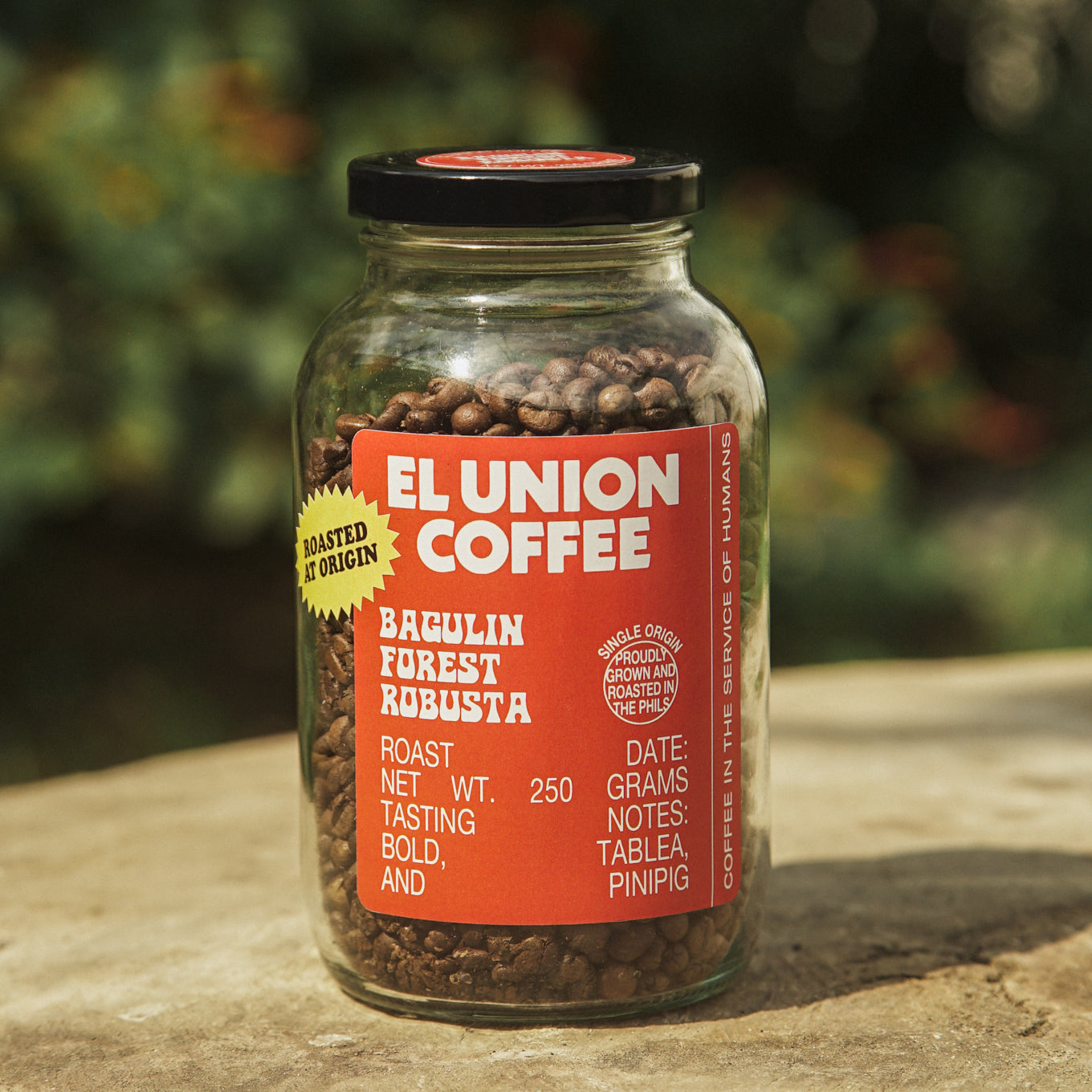 Bagulin Forest Robusta